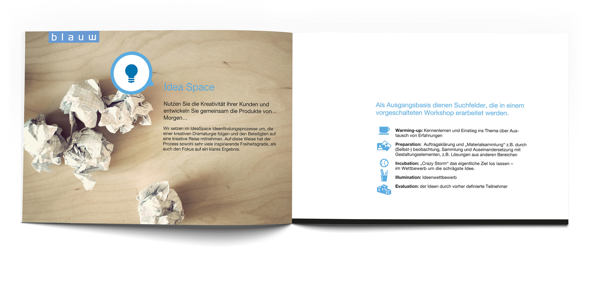 Katrin Geiss Grafikerin Fur Erlangen Nurnberg Und Furth Corporate Design Broschure Und Ppt Vorlagen Blauw Research Gmbh Marktforschungsinstitut Nurnberg