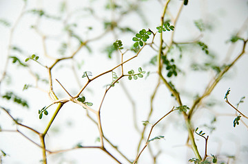 Fotografie, freie Arbeiten